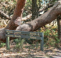 Middle Lagoon walking track - Hotel NSW