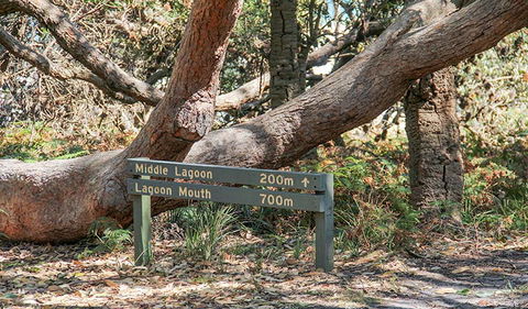 Middle Lagoon Walking Track - Hotel NSW 0