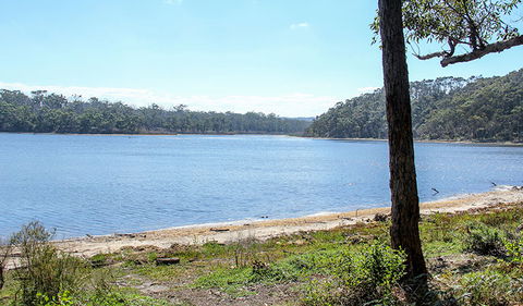 Middle Lagoon Walking Track - Hotel NSW 1