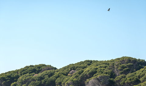 Terrace Beach And Lennards Island - Hotel NSW 1