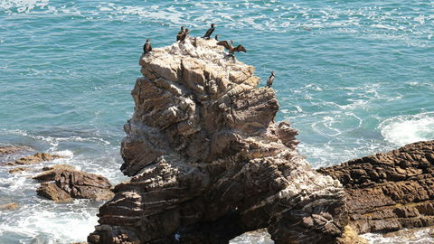 Ben Boyd National Park - Hotel NSW 2