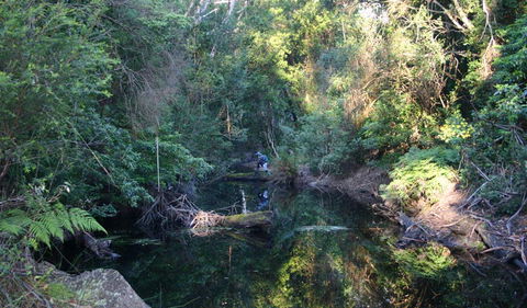 Nadgee Nature Reserve - Hotel NSW 2