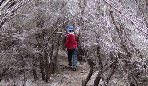 Nadgee Nature Reserve - Hotel NSW 3