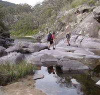 Nadgee Wilderness Walk - Hotel NSW