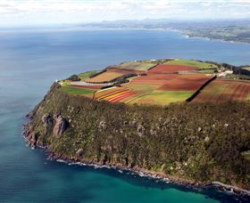 Table Cape - Hotel NSW 0