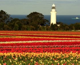 Table Cape - Hotel NSW 5
