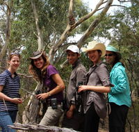 Echidna Walkabout Nature Tours - Hotel NSW