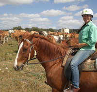 Myella Farm Stay Tours - Hotel NSW