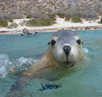 Calypso Star Charters - Hotel NSW