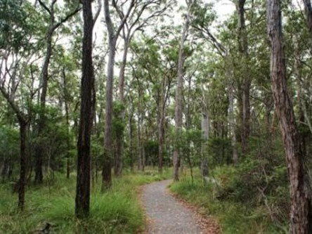Caboolture Regional Environment Education Centre - Walking Trails - Hotel NSW 0