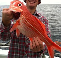 Goin' Off Safaris - Hotel NSW