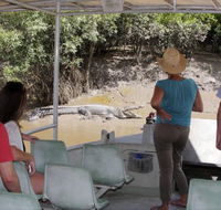 Whitsunday Crocodile Safari - Hotel NSW