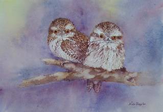 Nada’s Fine Art Gallery - Hotel NSW 1