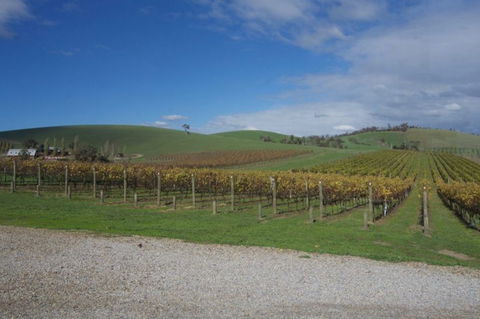 Wine Compass - Hotel NSW 1
