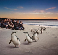 Down Under Thrills - Hotel NSW