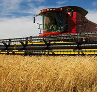 Quirindi Grain and produce - Hotel NSW