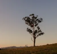 Faulls Ridge Winery - Hotel NSW