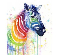 Rainbow Zebra - 65 Northbourne 7.30-9.30pm - Hotel NSW