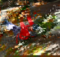 Trees Adventure Lane Poole Park - Treetop  Zipline Experience - Hotel NSW