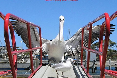 Kalgan Queen Scenic Cruises A Four Hour Sheltered Water Wildlife Tour Daily Fun. - Hotel NSW 1