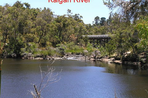 Kalgan Queen Scenic Cruises A Four Hour Sheltered Water Wildlife Tour Daily Fun. - Hotel NSW 3
