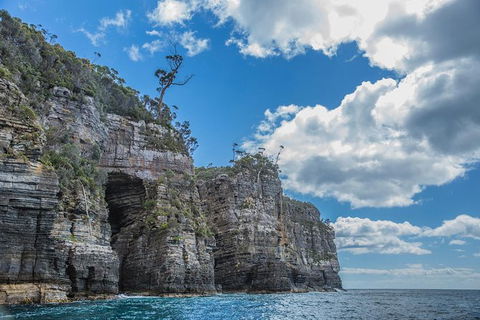 Shore Excursion - Port Arthur - Tasman Peninsula - Hotel NSW 1