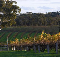 Barossa Valley with Hahndorf Tour from Adelaide - Hotel NSW