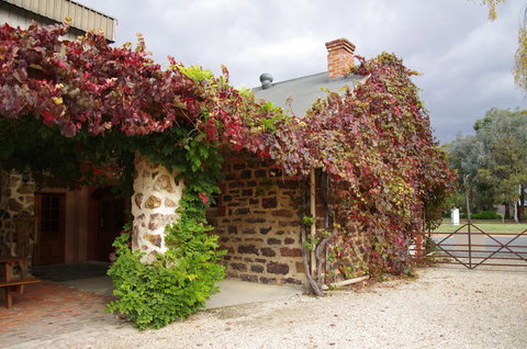 Barossa Valley Wineries Tour With Tastings And Lunch From Adelaide - Hotel NSW 3