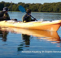Adelaide Dolphin Sanctuary and Ships Graveyard Kayak Tour - Hotel NSW