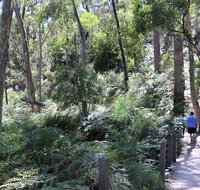 Self-Guided Waterfall Gully to Mount Lofty Hike from Adelaide - Hotel NSW