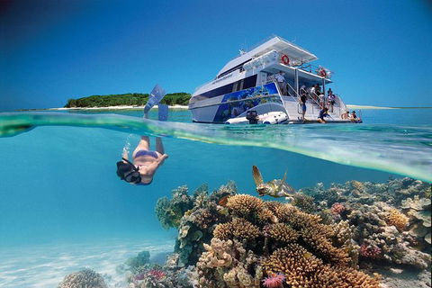 3-Day Southern Great Barrier Reef Tour Including Lady Musgrave Island - Hotel NSW 0