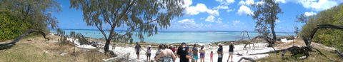 3-Day Southern Great Barrier Reef Tour Including Lady Musgrave Island - Hotel NSW 3