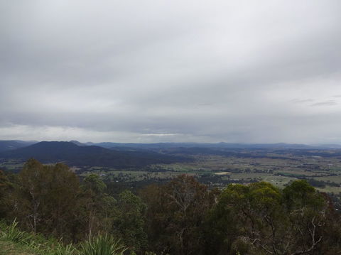 Springbrook AndTamborine Rainforest Tour Incl Natural Bridge And Glow Worm Cave - Hotel NSW 7