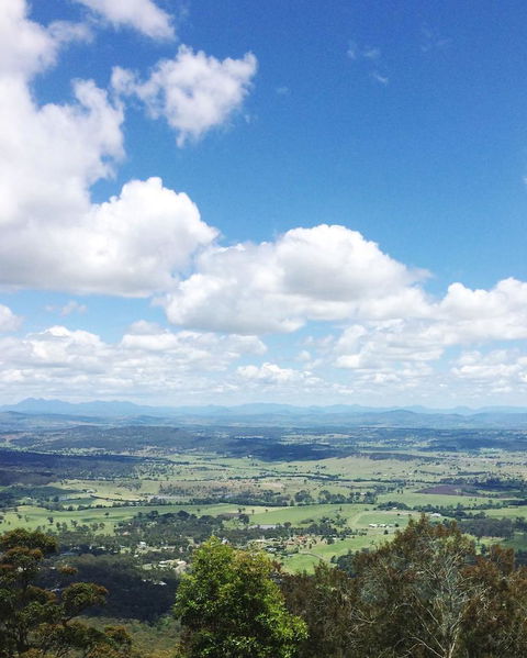 Springbrook AndTamborine Rainforest Tour Incl Natural Bridge And Glow Worm Cave - Hotel NSW 5