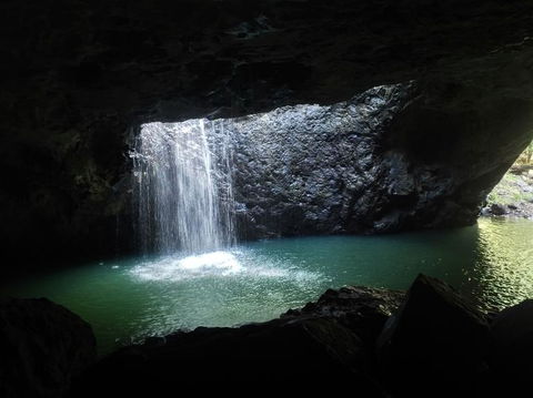 Springbrook AndTamborine Rainforest Tour Incl Natural Bridge And Glow Worm Cave - Hotel NSW 2