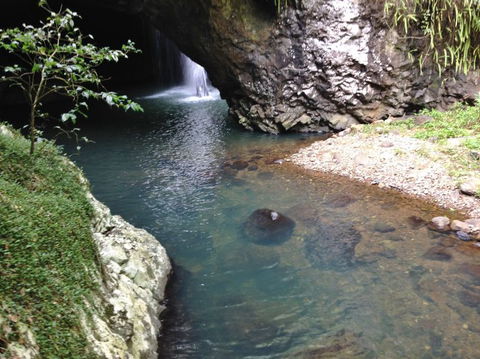 Springbrook AndTamborine Rainforest Tour Incl Natural Bridge And Glow Worm Cave - Hotel NSW 6