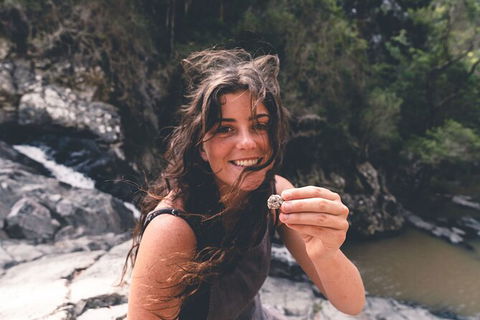 Springbrook AndTamborine Rainforest Tour Incl Natural Bridge And Glow Worm Cave - Hotel NSW 10