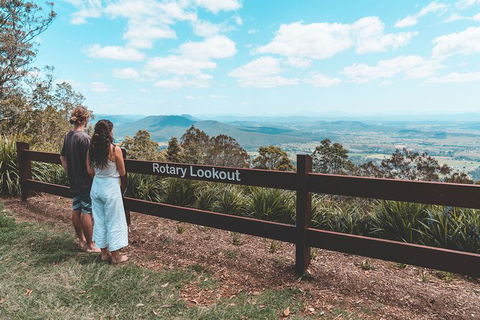 Springbrook AndTamborine Rainforest Tour Incl Natural Bridge And Glow Worm Cave - Hotel NSW 13