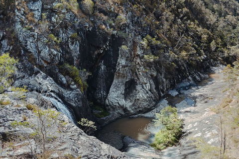 Springbrook AndTamborine Rainforest Tour Incl Natural Bridge And Glow Worm Cave - Hotel NSW 15