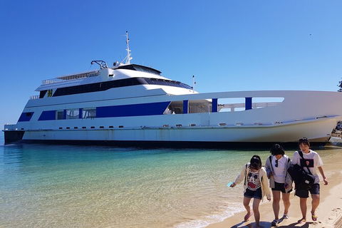 Moreton Island Day Trip (Kayak, Snorkel & Sandboard) Frm Brisbane Or Gold Coast - Hotel NSW 10