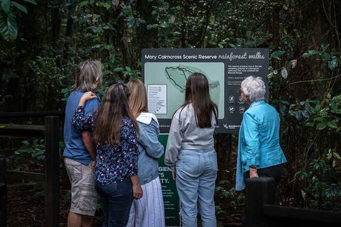 Sunshine Coast Hinterland And Noosa Day Trip From Brisbane Including Eumundi Markets And Ginger Factory - Hotel NSW 4
