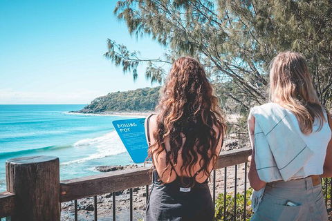 Sunshine Coast Hinterland And Noosa Day Trip From Brisbane Including Eumundi Markets And Ginger Factory - Hotel NSW 9