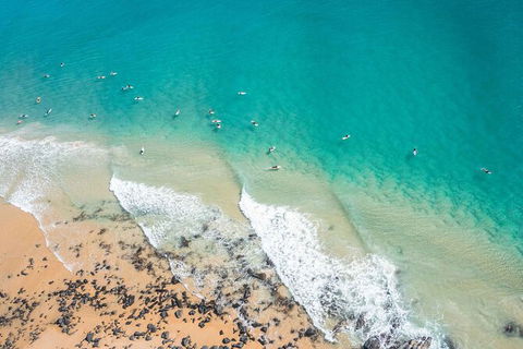 Sunshine Coast Hinterland And Noosa Day Trip From Brisbane Including Eumundi Markets And Ginger Factory - Hotel NSW 10