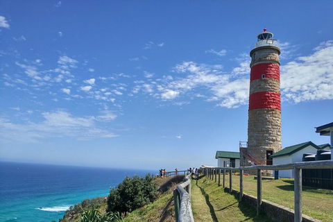 Cape Moreton Scenic 4WD Day Tour From Brisbane Or The Gold Coast - Hotel NSW 1