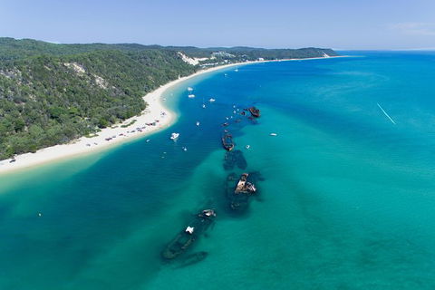 Cape Moreton Scenic 4WD Day Tour From Brisbane Or The Gold Coast - Hotel NSW 8