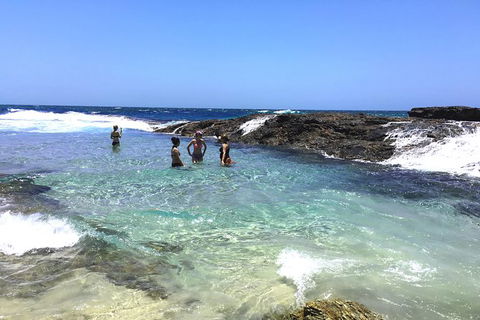 Cape Moreton Scenic 4WD Day Tour From Brisbane Or The Gold Coast - Hotel NSW 3