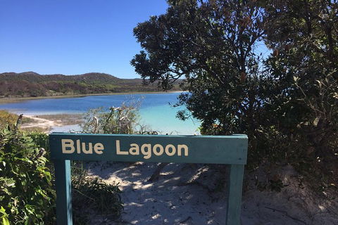 Cape Moreton Scenic 4WD Day Tour From Brisbane Or The Gold Coast - Hotel NSW 4