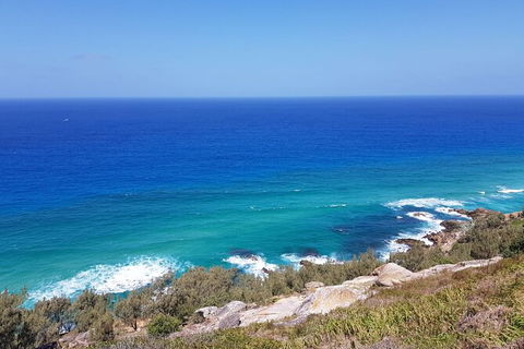 Cape Moreton Scenic 4WD Day Tour From Brisbane Or The Gold Coast - Hotel NSW 7