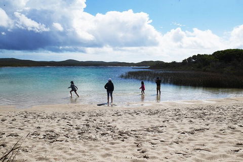 Cape Moreton Scenic 4WD Day Tour From Brisbane Or The Gold Coast - Hotel NSW 5
