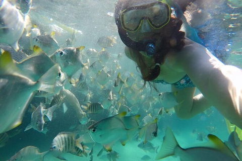 Moreton Island Snorkel And Sandboarding 4WD Day Trip From Brisbane - Hotel NSW 7